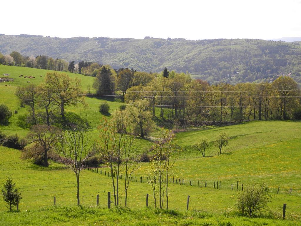 Le Plateau De La Danse Bed & Breakfast Saint-Victor-sur-Loire Exterior foto